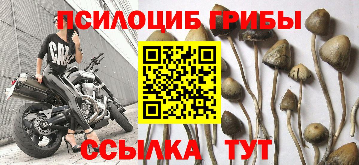 Галлюциногенные грибы MAGIC MUSHROOMS Петрозаводск