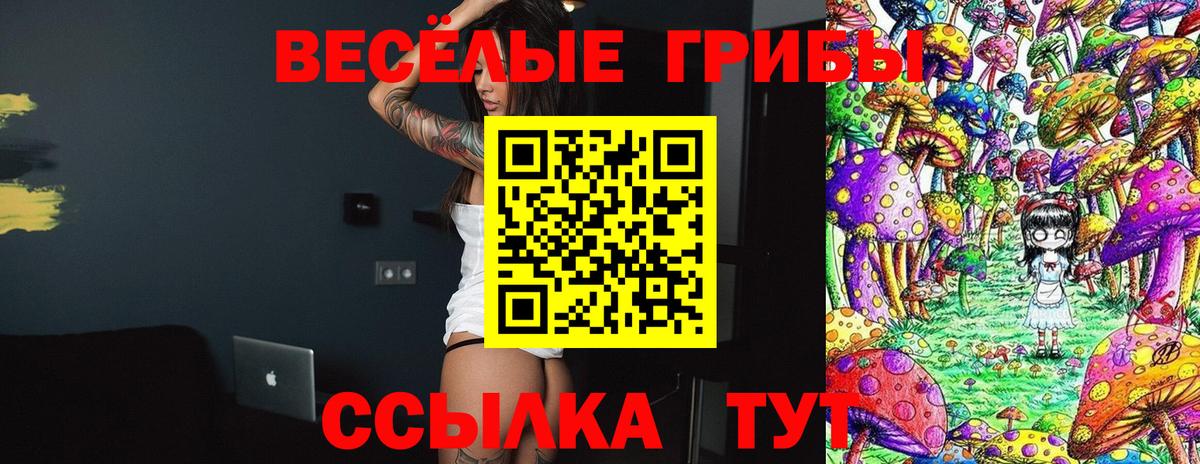 Петрозаводск  Галлюциногенные грибы MAGIC MUSHROOMS  Вход с VPN 